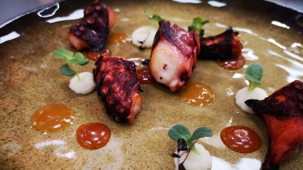 Creatività e Tecnologie per Piatti Gourmet Ristorante Prime Rose